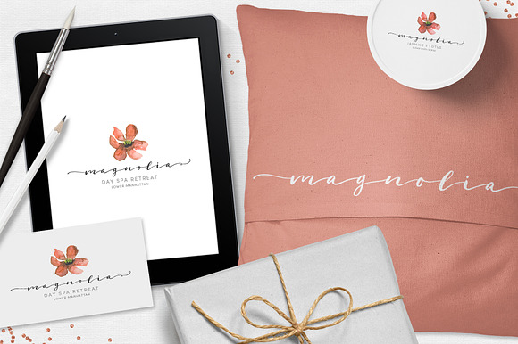 Blush Typeface in Script Fonts - product preview 2