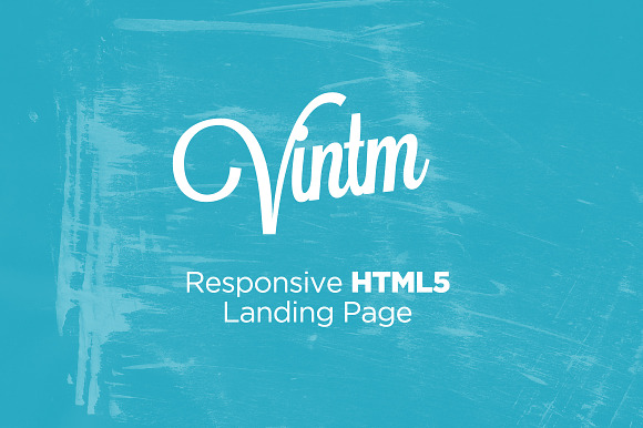 VINTM™  Responsive Landing Page in Landing Page Templates - product preview 3
