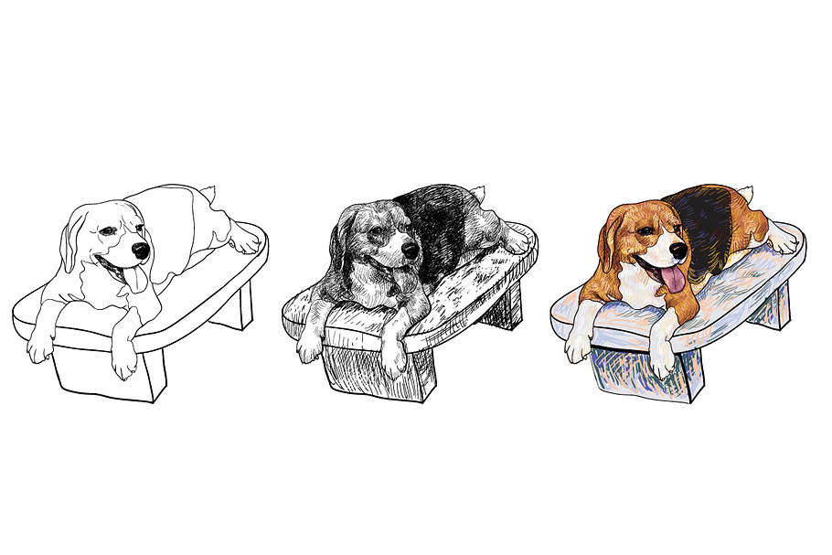 Beagle on chair in Illustrations - product preview 8