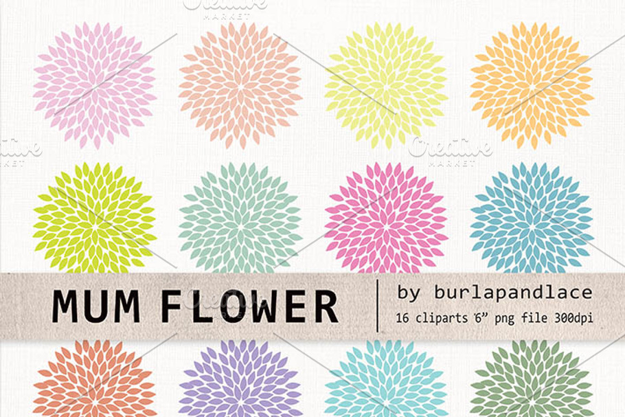 Mum flower clipart in Illustrations - product preview 8