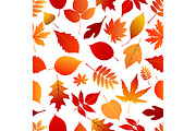 Autumn red and orange leaves pattern