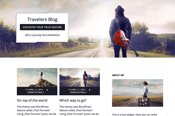 Passenger-Travelers WordPress Theme in WordPress Blog Themes - product preview 2