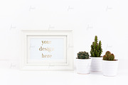 Simple dotted white frame with cacti
