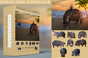 8 - PNG Hippo Overlays