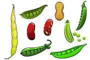 Cartoon fresh legumes and vegetables