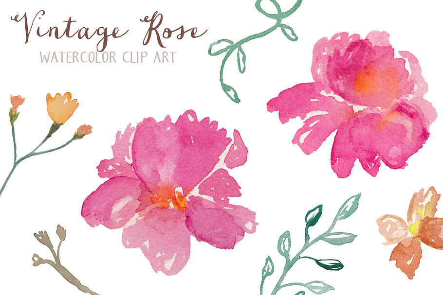 Vintage Rose Watercolor Clip Art