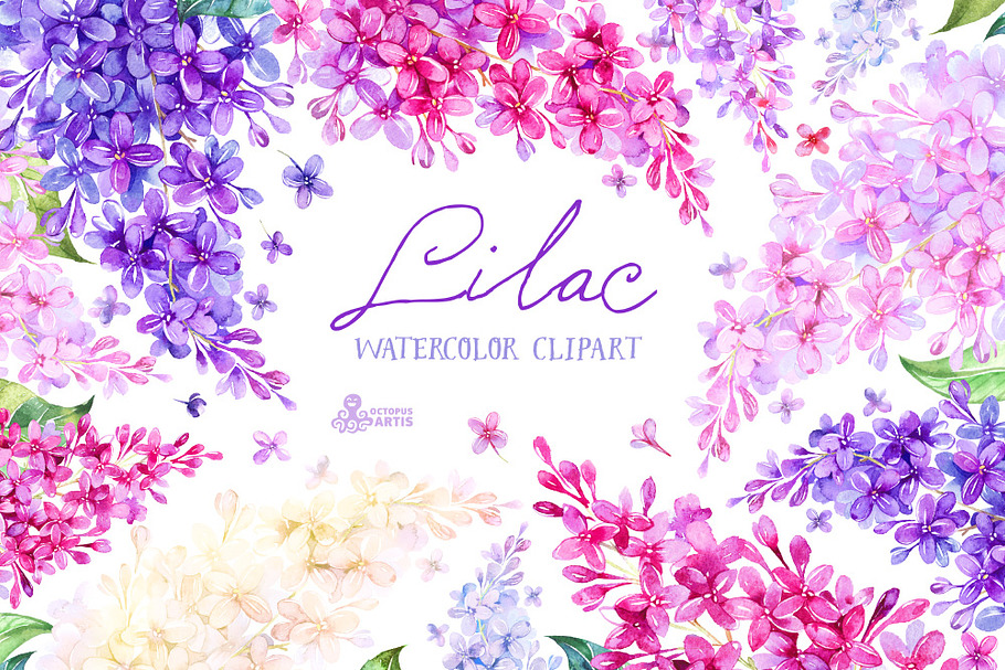 Lilac. Watercolor collection