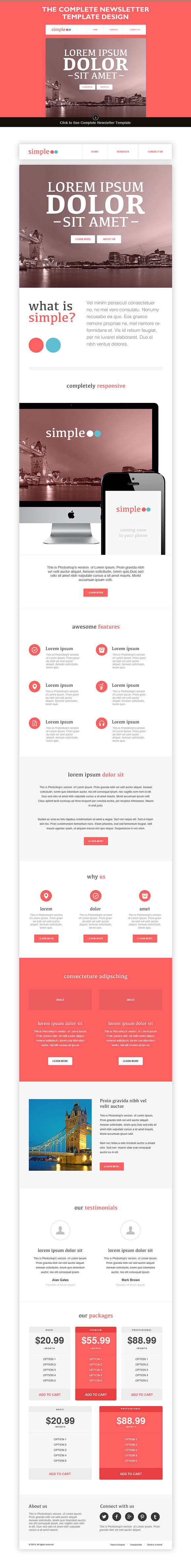 Simple - Responsive Email Template in Mailchimp Templates - product preview 3