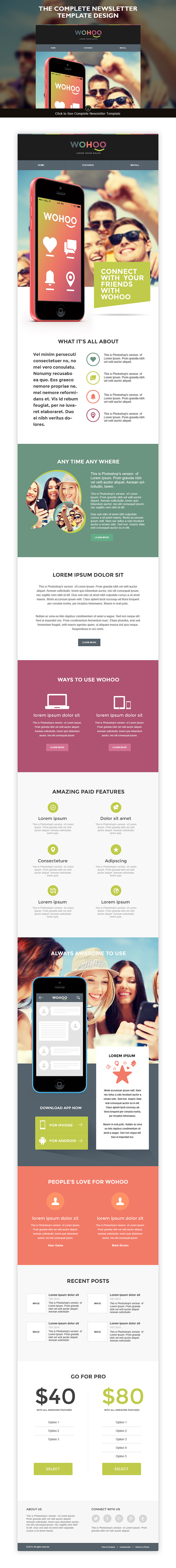 Wohoo – Newsletter HTML Template in Mailchimp Templates - product preview 2