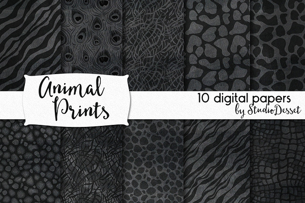 Animal Prints - Chalkboard Patterns