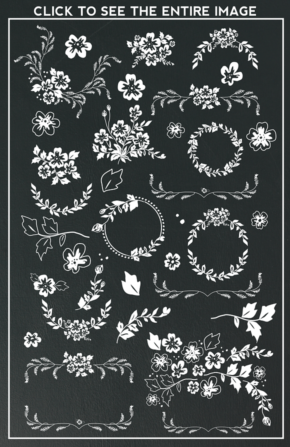 Hand Drawn Flowers & Leaves Elements in Illustrations - product preview 4