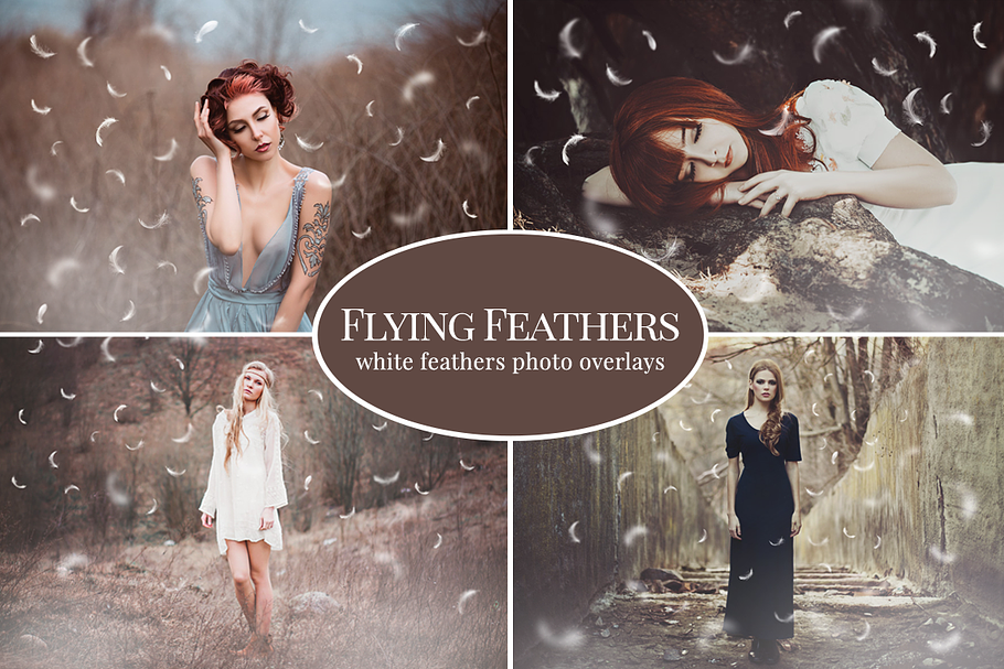 Flying Feathers photo overlays