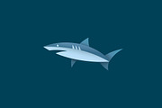 Shark logo fish sign flat vector