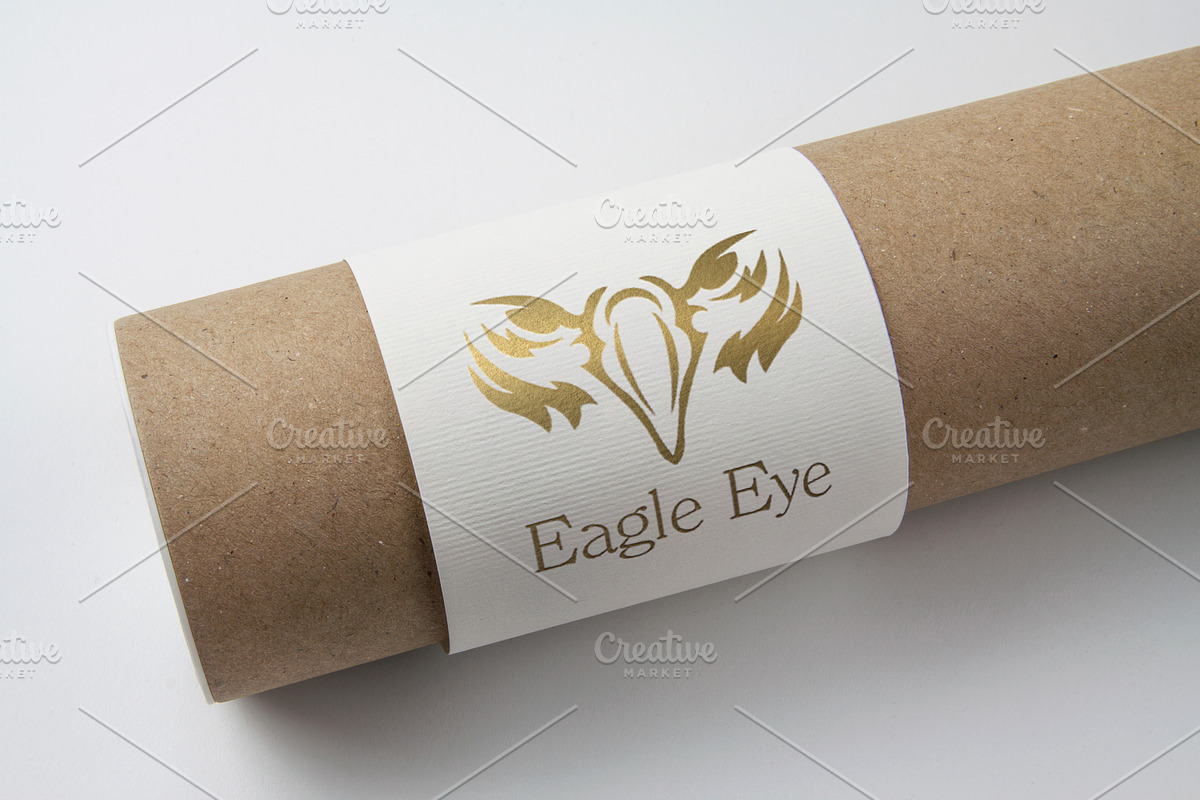 Eagle Eye Logo Template in Logo Templates - product preview 8