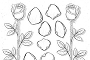 Set sketch rose and petals