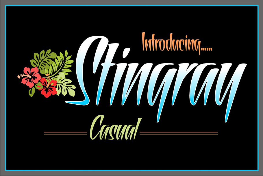 Stingray Casual in Display Fonts - product preview 8
