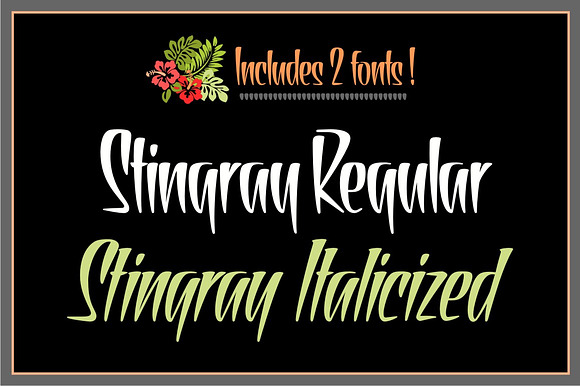 Stingray Casual in Display Fonts - product preview 1