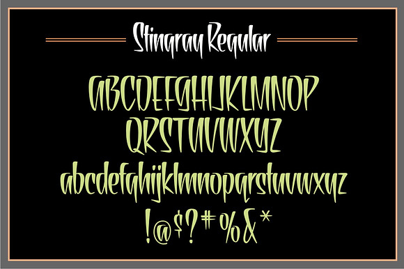 Stingray Casual in Display Fonts - product preview 2