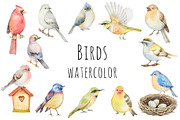 Watercolor birds.