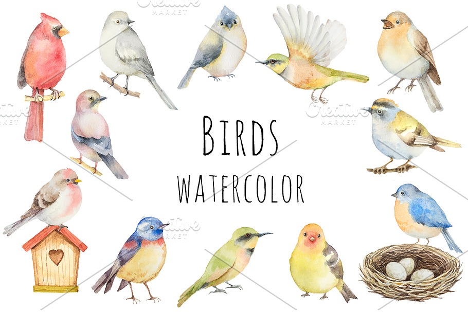Watercolor birds. in Illustrations - product preview 8