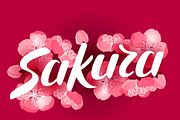 Japanese sakura backgrounds.