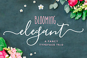 The Blooming Elegant Font Trio