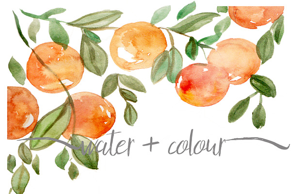 watercolor oranges border
